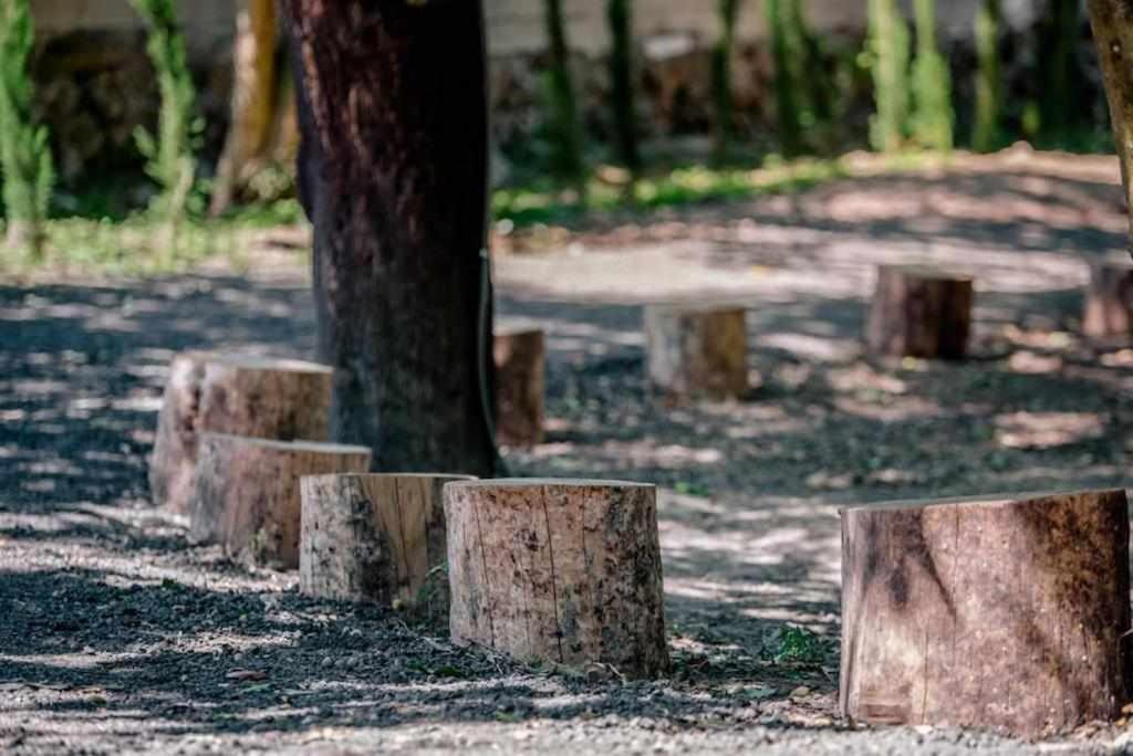 Quinta Vale De Frades Vendégház Torrão Kültér fotó